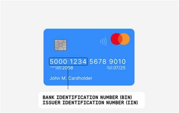 How do I find my bin details?