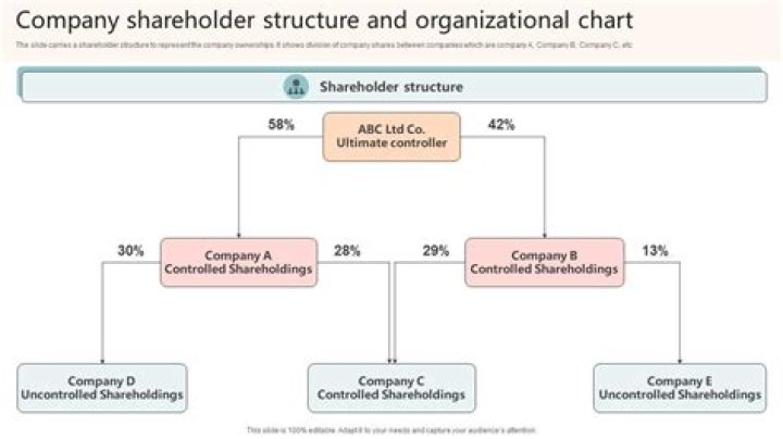 How many shareholders can a C corporation have?