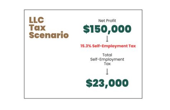 Is the income from a LLC considered self employment?