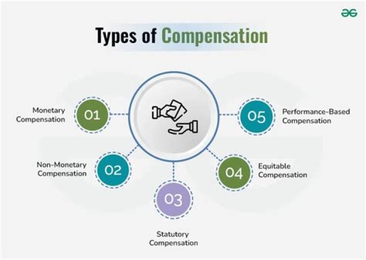 What are examples of non employee compensation?