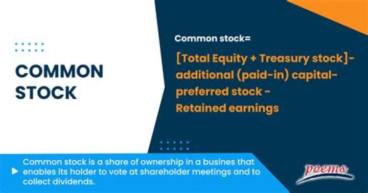 What is common stock holding?